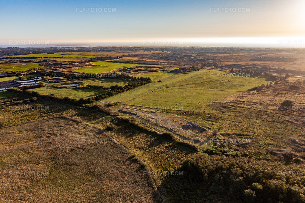 Aerial view: Wadden Sea National Park in Fanø in the state South Denmark, Denmark.Photo: IMG_118881.jpg taken on 09/21/2019 by Werner Riehm/FLY-FOTO.comResolution of the original: 5455 x 3636 px