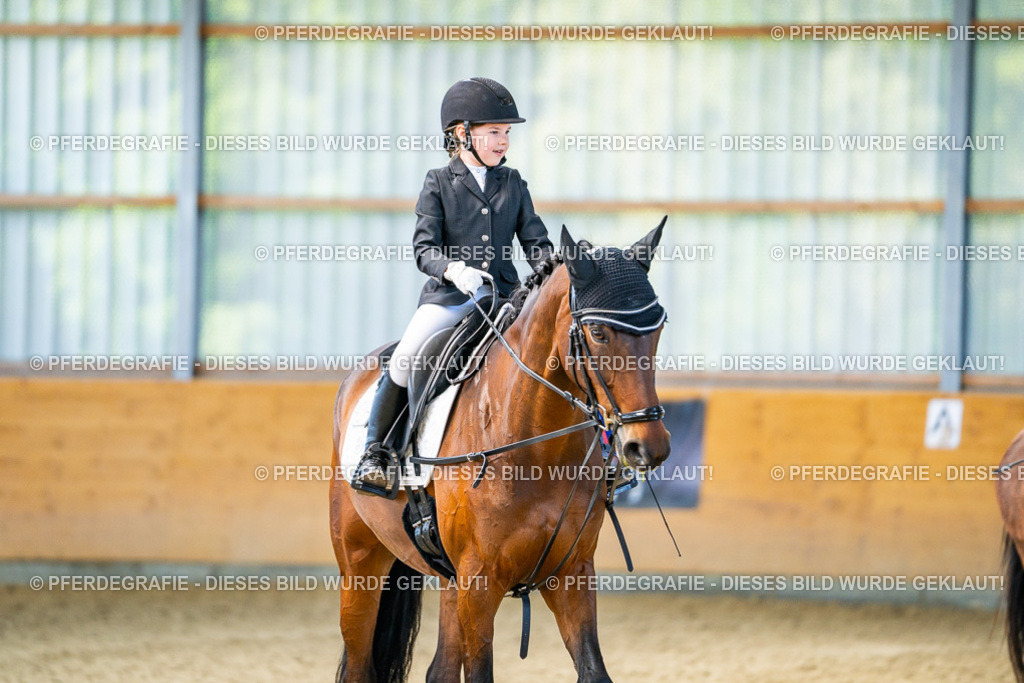 DSC02782 | Pferdegrafie