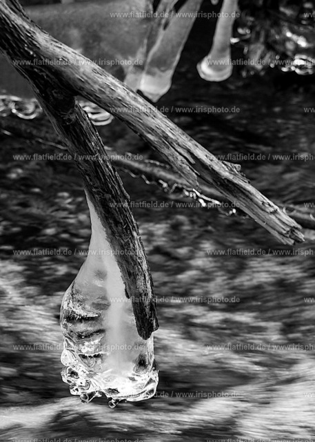 Eisskulptur im Liederbach | Naturfoto einer Eisskulptur - gesehen an der Roten Mühle / Taunus