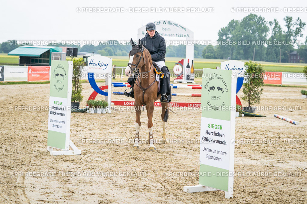 DSC03066 | Pferdegrafie