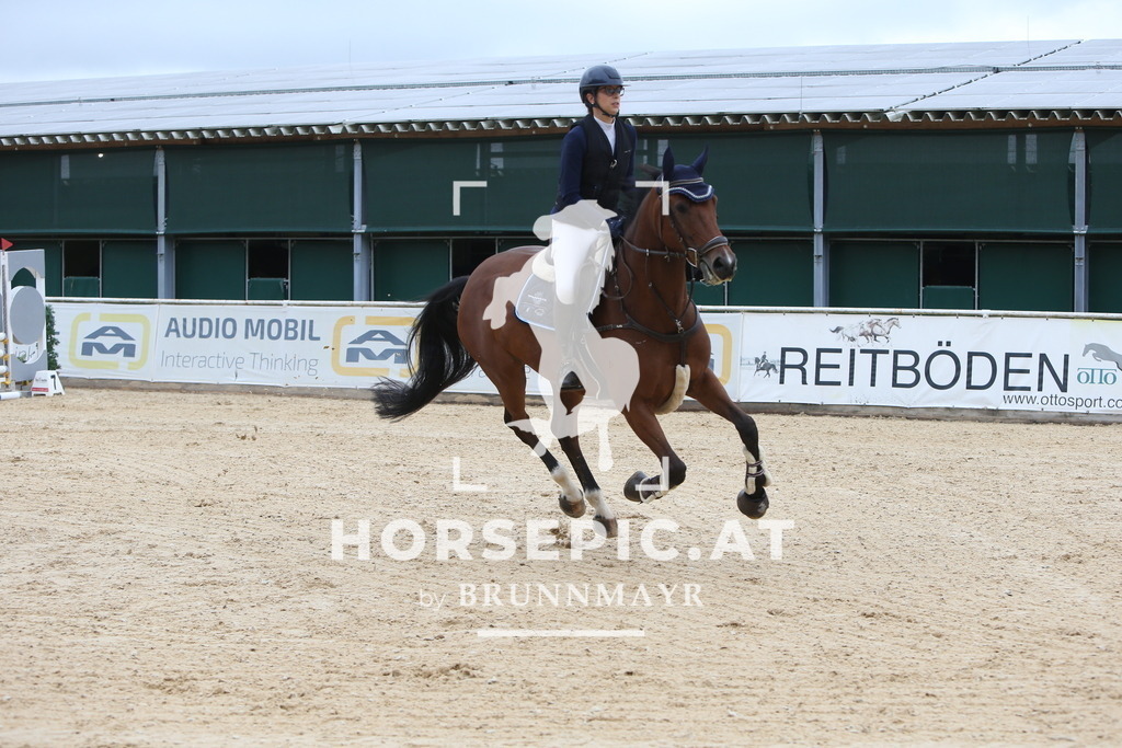 DL2Q0834 | Willkommen bei Brunnmayr - Design & Fotografie – Ihrem Spezialisten für Reitturniere und Pferdeveranstaltungen in Oberösterreich, Salzburg und Bayern! Seit über 17 Jahren sind wir leidenschaftlich dabei.