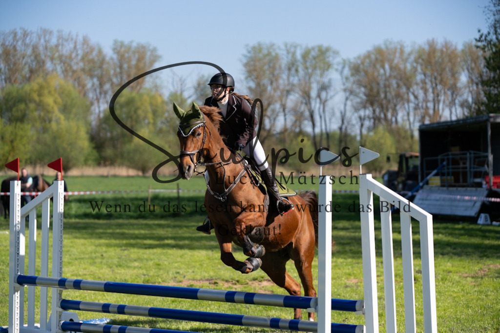 A7V01624 | Pferdefotograf