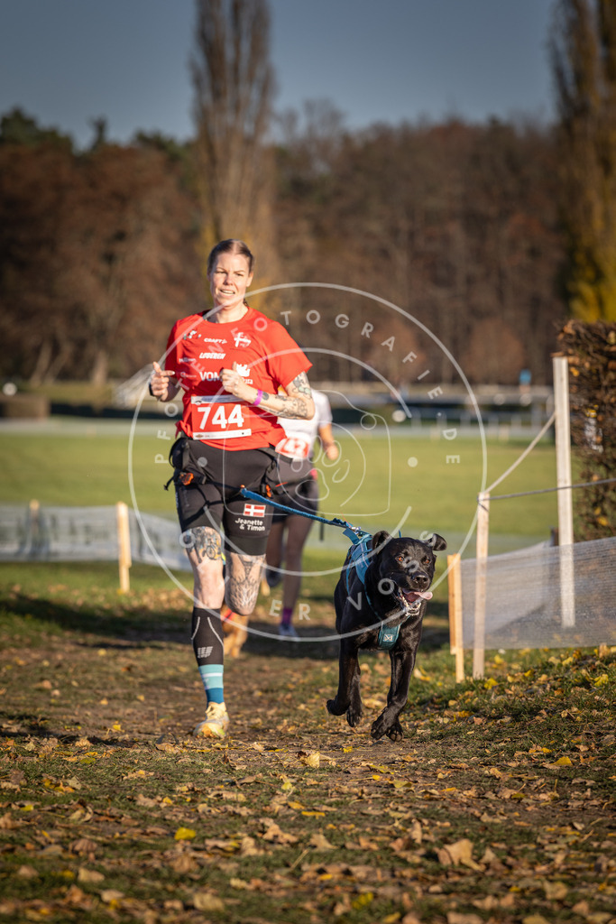 CaniXpix_DV3A2278 | Hundefotografie, Tierfotograf, Pfotenfotografie, Fotoshooting Hund, Hunde Portrait, Hundesport, Hundeportraits, Heideshooting, Hunde, Sportfotograf, Hundefotograf, Turnierhundsport, THS,  - Realisiert mit Pictrs.com