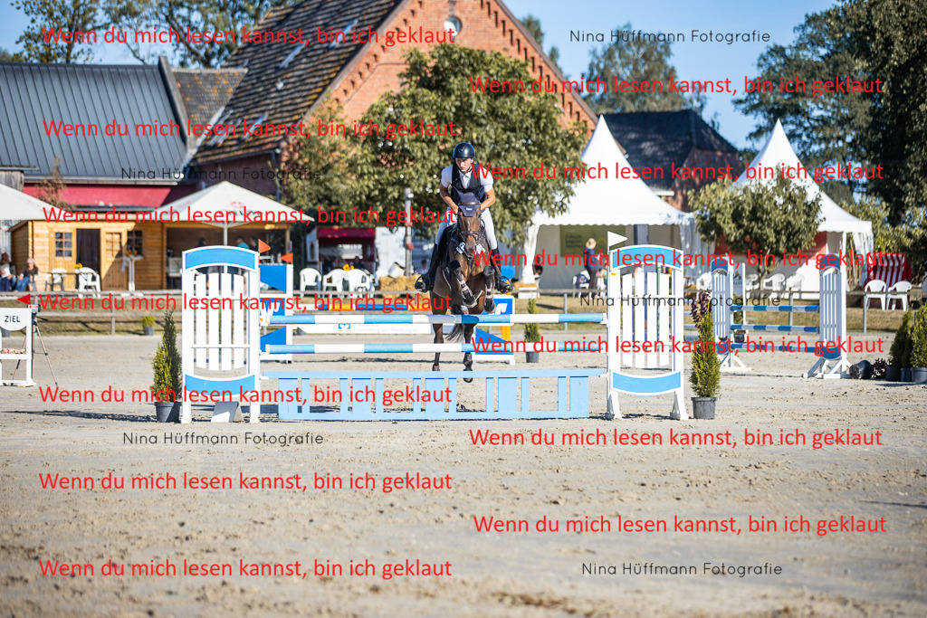 BK1A6057 | Turnierbilder Turnierfotos Nina Hüffmann Turnierfotografie Pferdefotografie Tierzeichnung Haustierzeichnung Pferdezeichnung Hundezeichnung Videograf  - Realisiert mit Pictrs.com