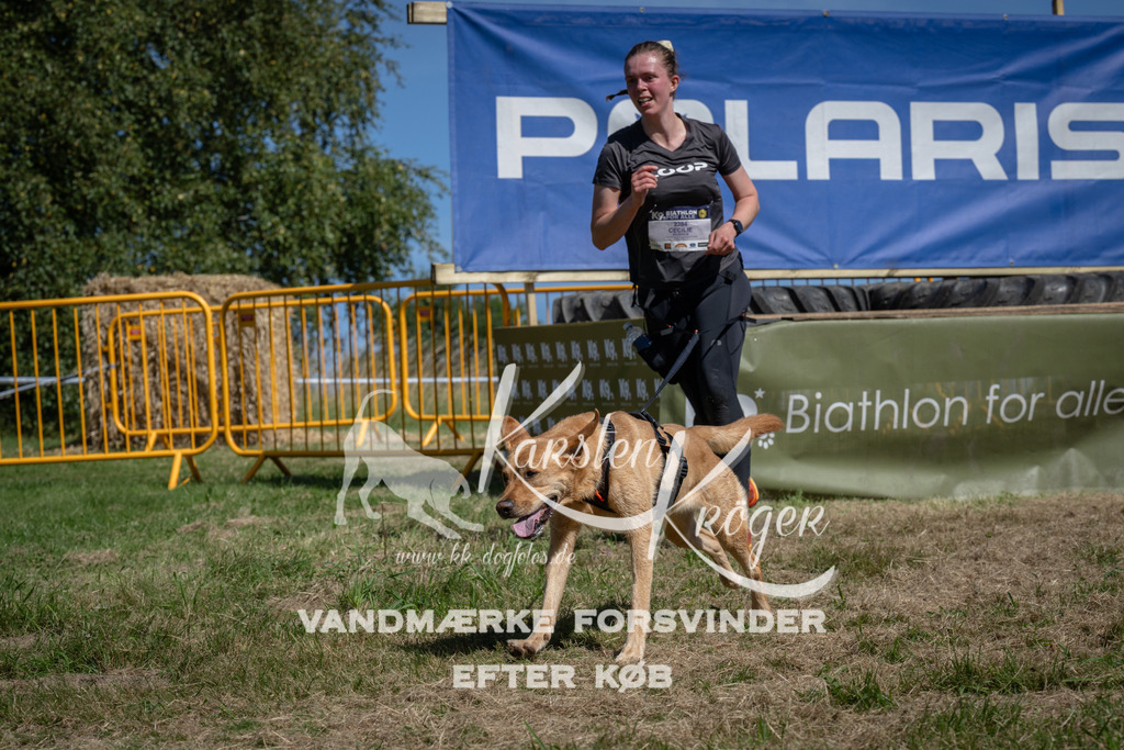 1219_ZZ95121 | kk-dogfotos