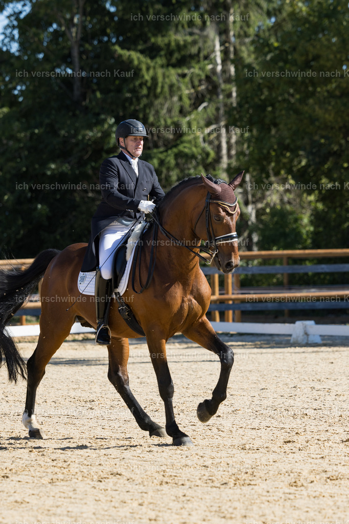 FHC2026_P07_168_17543 | working equitationturnier fotograf videograf stoibphotography marixx film working equitation deutschland reitsport turnierfotografie eventfotografie equestrian events