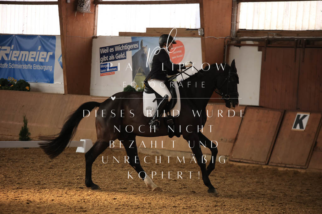 IMGT7934 | pl-fotografie