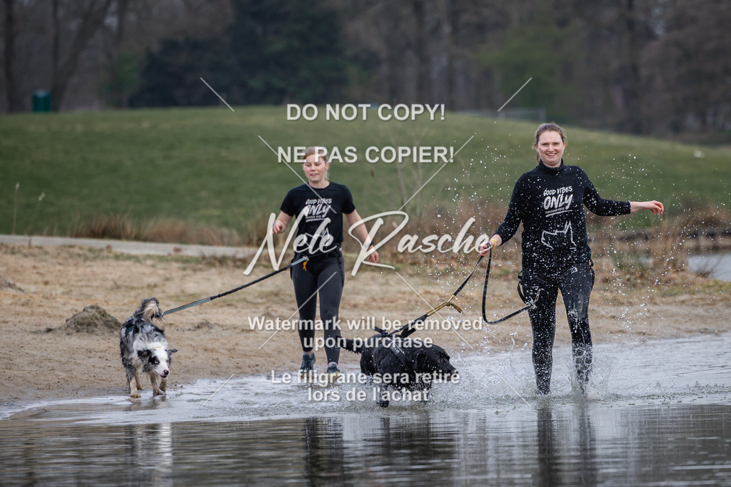 nelerasche_Hulsbeek_Sa1600-1700_455 | nelerasche