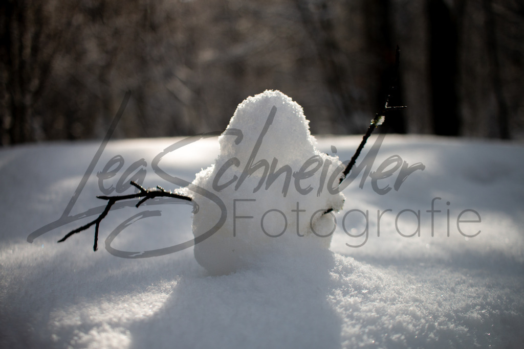 Winter 3 | Kleiner Schneemann mit Armen aus Ästen - Realisiert mit Pictrs.com