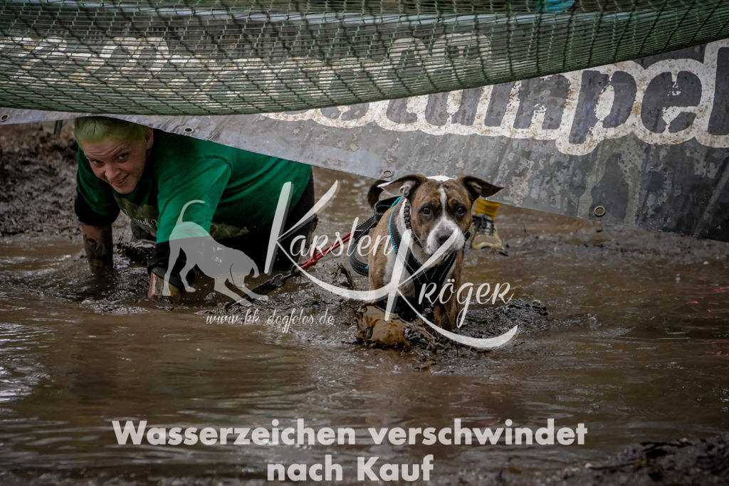 1007_ZZ99558 | kk-dogfotos