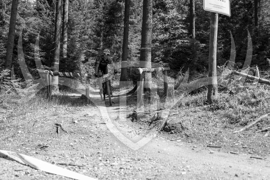 L1010725 | Fotogalerie der Treibjagd im Dunkelwald - Dein MTB Etappenrennen im Erzgebirge - Realisiert mit Pictrs.com