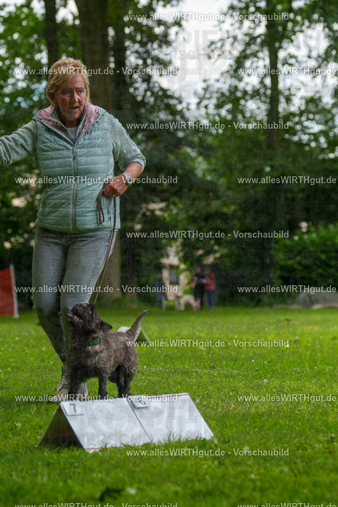 @allesWIRTHgut_Tierfotografie - www.allesWIRTHgut.de - 130104-7R509676 | Professionelle Tierfotografie in Mönchengladbach von Daniel Wirth (allesWIRTHgut). Liebevolle & natürliche Bilder von Hunden & Katzen für unvergessliche Erinnerungen.