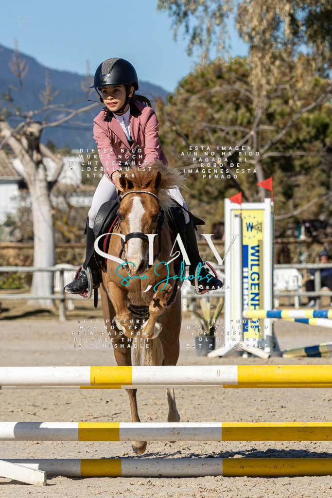 IMG_8773 | s-jay-photography - Realisiert mit Pictrs.com