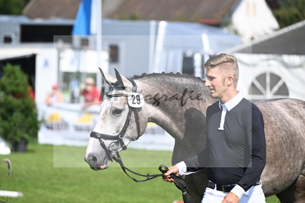 Kat-Nr. 29 Mary Rose_Hofbauer_34240376 | hf-fotografie - Realisiert mit Pictrs.com