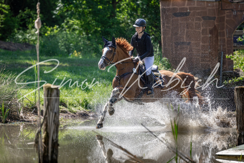 20260523-_3LI7329 | Tierfotografie Pferde, Hunde, Katzen, Haustiere.
Turnierfotografie Reitturniere, Reiten, Springreiten, Dressur in Hanau, dem Main-Kinzig-Kreis und dem Rhein-Main- Gebiet um Frankfurt