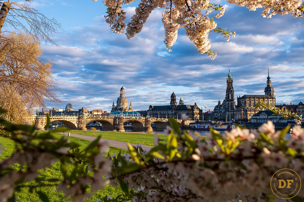 9323-Top-Baum-Canalettoview-L | Geschenke, Wandbilder und Accessoires mit Motiven aus Dresden und anderen schönen Orten zur Verschönerung Deines zu Hauses und zum verschenken gewünscht? Wähle Deine Lieblingsbild auf dem Produkt Deiner Wahl. 