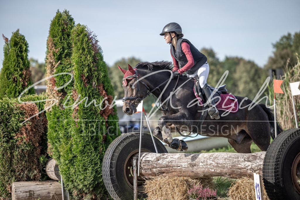 20250907-_3LI9401 | Tierfotografie Pferde, Hunde, Katzen, Haustiere.
Turnierfotografie Reitturniere, Reiten, Springreiten, Dressur in Hanau, dem Main-Kinzig-Kreis und dem Rhein-Main- Gebiet um Frankfurt