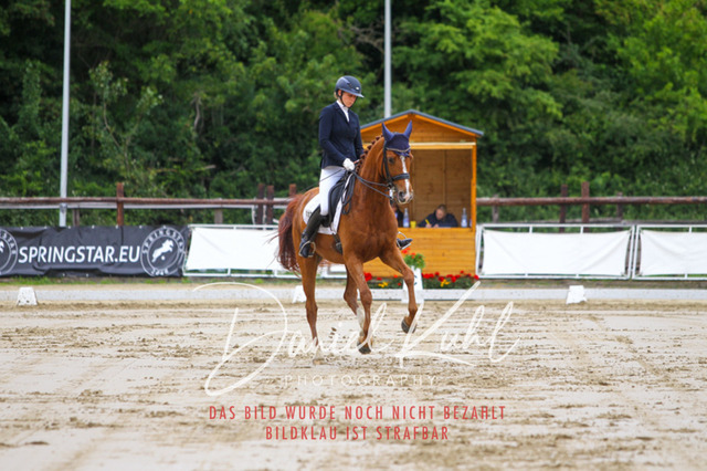 DKP47444 | Turniersportfotografie; Pferdefotografie; Dressurfotografie