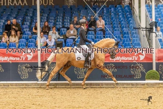 28-8-26 5j DRE-423 | mandyhollmannphotographie