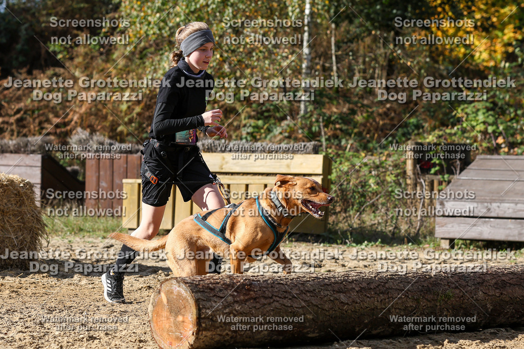 Dog Paparazzi - Strongdog 10-25-4934 | Dog Paparazzi Jeanette Grottendiek Fotografie & Videografie - Realisiert mit Pictrs.com