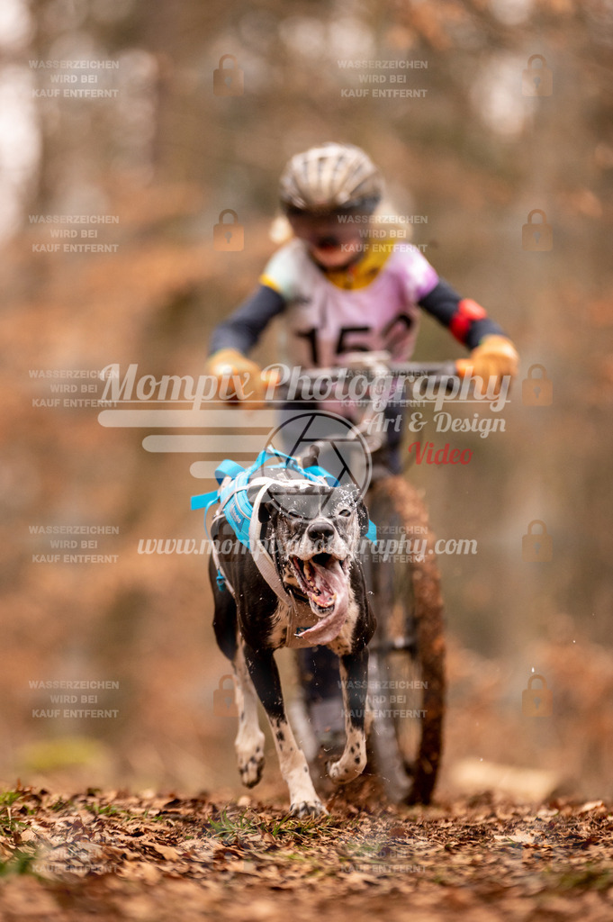 AKM_ST_2023_SAM_Scooter-17 | PayLife