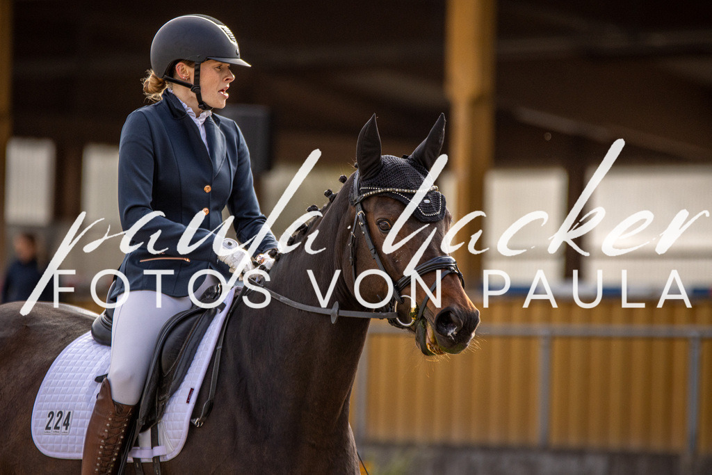 IMG_3309 | Erleben Sie dynamische Sport- und emotionale Tierfotografie in Süddeutschland mit Fotos von Paula. Spezialisiert auf Pferde- und Hundefotografie sowie Sportevents. Kontaktieren Sie mich für einzigartige und ausdrucksstarke Bilder Ihrer besonderen Momente.