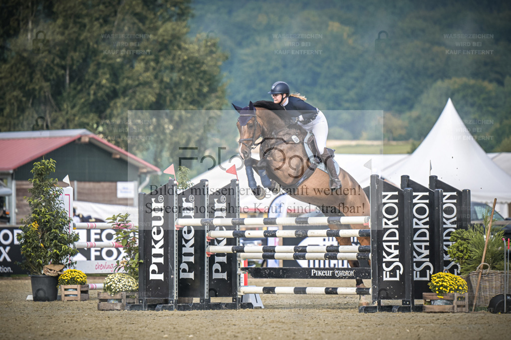 DOS_2293 | Entdecke hochwertige Reitturnierfotos von Foto Oger. Professionell, emotional und authentisch – jetzt Lieblingsmomente im Shop bestellen. - Realisiert mit Pictrs.com