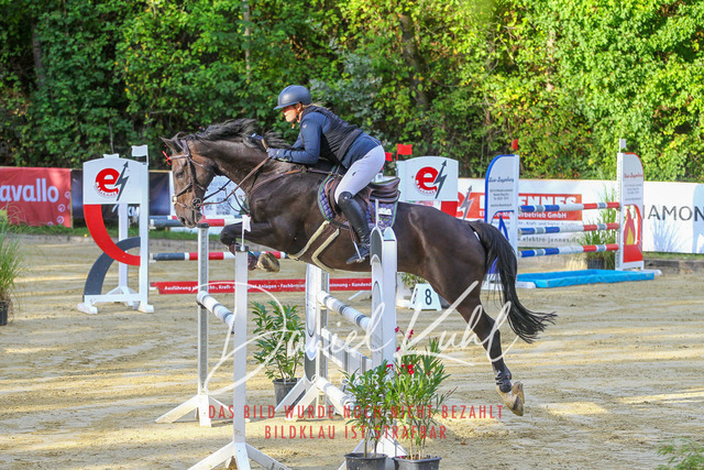 DKP42567 | Turniersportfotografie; Pferdefotografie; Dressurfotografie