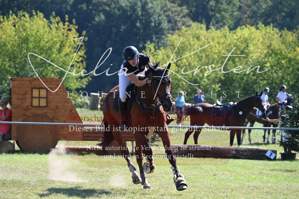 DSC_6450 | Pferde- und Turnierfotografie in Westsachsen. Pferdeportraits, Auftragszeichnungen und intuitive Kunst.