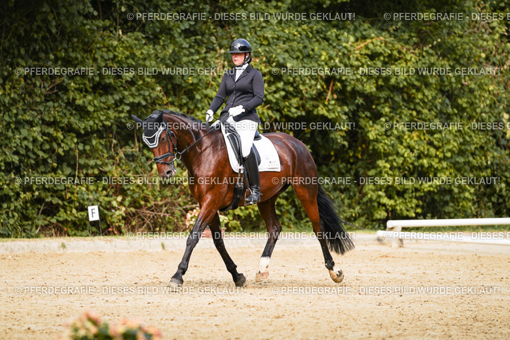 DSC03383 | Pferdegrafie