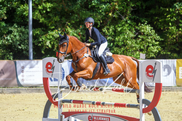 DKP43123 | Turniersportfotografie; Pferdefotografie; Dressurfotografie