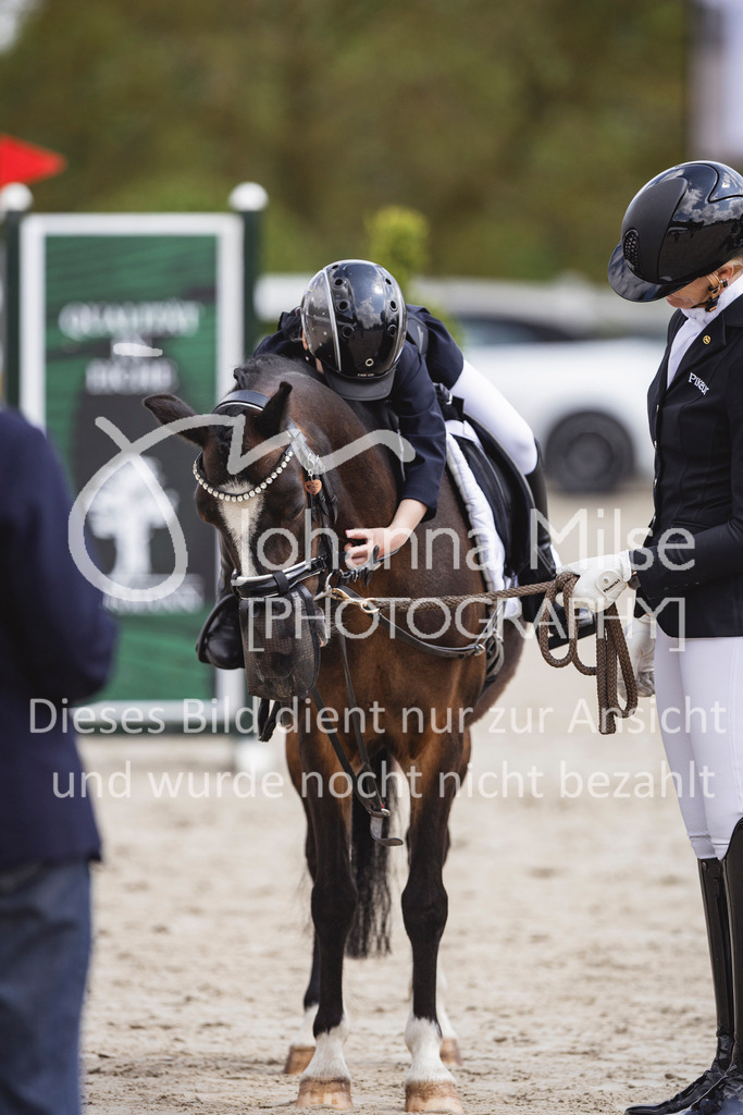 260509_PfSpTa_16_Führzügel-WB-628 | Deine schönsten Turniermomente als professionelle Fotos! Entdecke hochwertige Pferdesport-Fotografie im Online-Shop. Jetzt Fotos finden & bestellen!