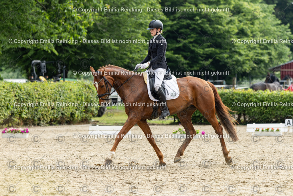 CL5A4579 | Emilia Reinking Fotografie - Realisiert mit Pictrs.com