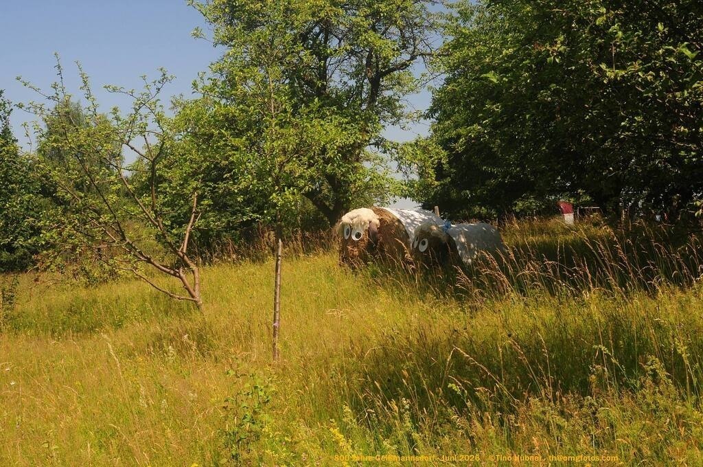 Geißmannsdorf-2026-Ortsbilder-126 | Geißmannsdorf bei Bischofswerda im Sommer 2026. Ein fotografischer Streifzug durch das Dorf Geißmannsdorf, mit Gebäuden, Straßen, Strohpuppen und geschmückten Vorgärten und Grundstücken anlässlich der 800-Jahr-Feier von Geißmannsdorf im Juni 2026 - Realisiert mit Pictrs.com