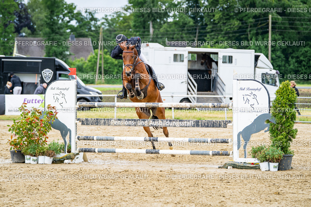 DSC04212 | Pferdegrafie