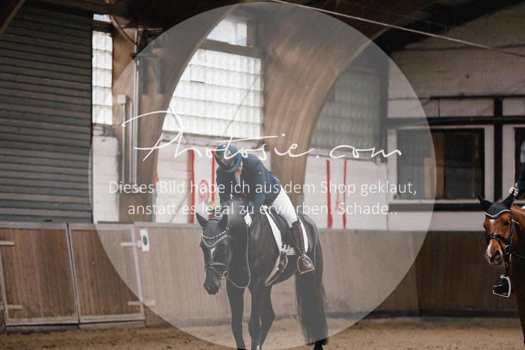 3I6A7151 | Stimmungsvolle Portraits und Reitsportfotografie im Ruhrgebiet und im Münsterland.

Pferdefotografie, Hundefotografie, Tierfotografie, Reportagen, Portraits von Tier und Mensch, Turnierfotografie in Bochum, Recklinghausen, Marl, Haltern am See, Dülmen.. - Realisiert mit Pictrs.com