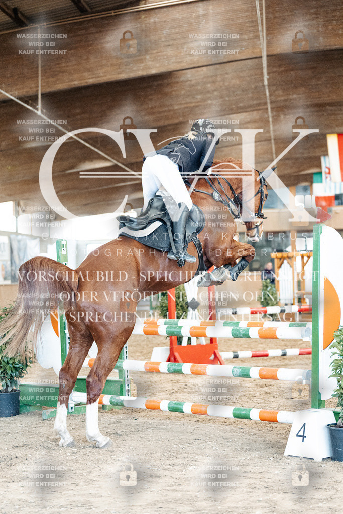 CK905046 | Turnierfotografie Pferdefotografie Trier Rheinland-Pfalz Pferdesport Reitsport Tierfotografie Sportfotografie Pferdevideo Pferdevideografie Equestrianvideography equestrianphotography  - Realized with Pictrs.com