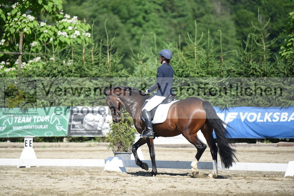 DSC_7761 | equestrian-live-com