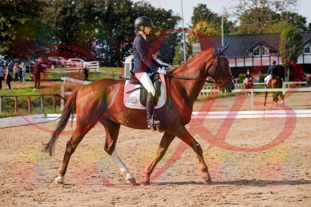 2026_10_03_Siefer-Hof_123418_Z63_52727472 | Professionelle Reitsport-, Turnier- und Eventfotografie von Robert Broda. Galerien mit ausgewählten und bearbeiteten Bildern direkt online ansehen und bestellen.