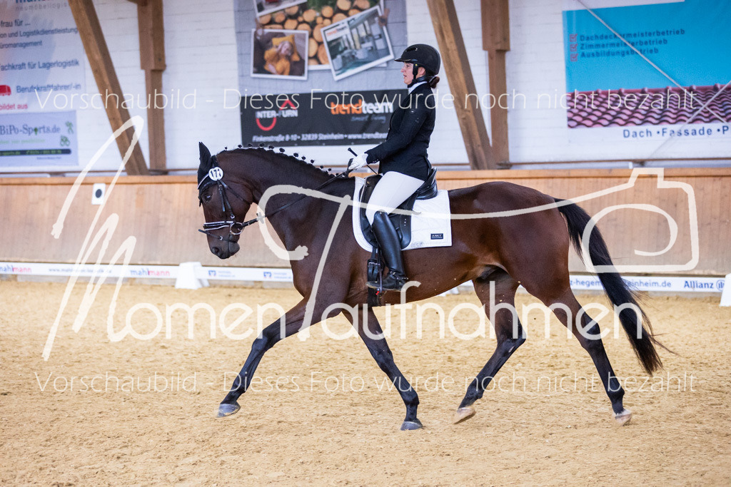 Sth-A-Dre-2St-007 | MomenTaufnahmen Pferdesportfotos