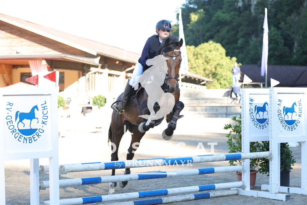 0P6A4368 | Willkommen bei Brunnmayr - Design & Fotografie – Ihrem Spezialisten für Reitturniere und Pferdeveranstaltungen in Oberösterreich, Salzburg und Bayern! Seit über 17 Jahren sind wir leidenschaftlich dabei.