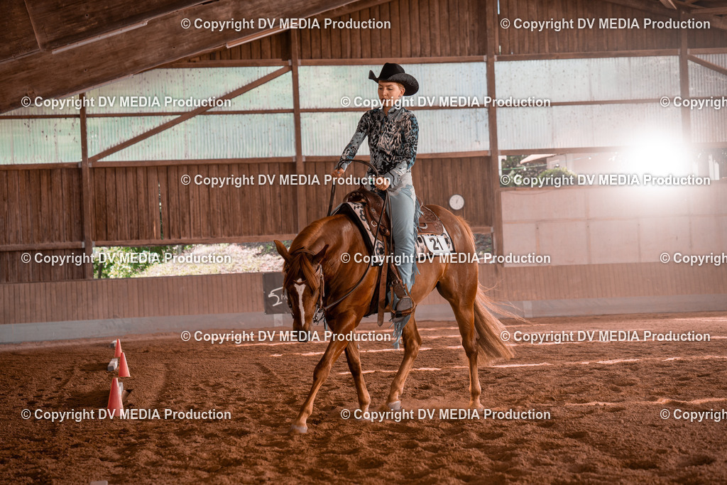 NE100460 | dv-media-shop - Realisiert mit Pictrs.com