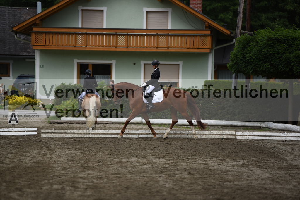 DSC_5092 | equestrian-live-com