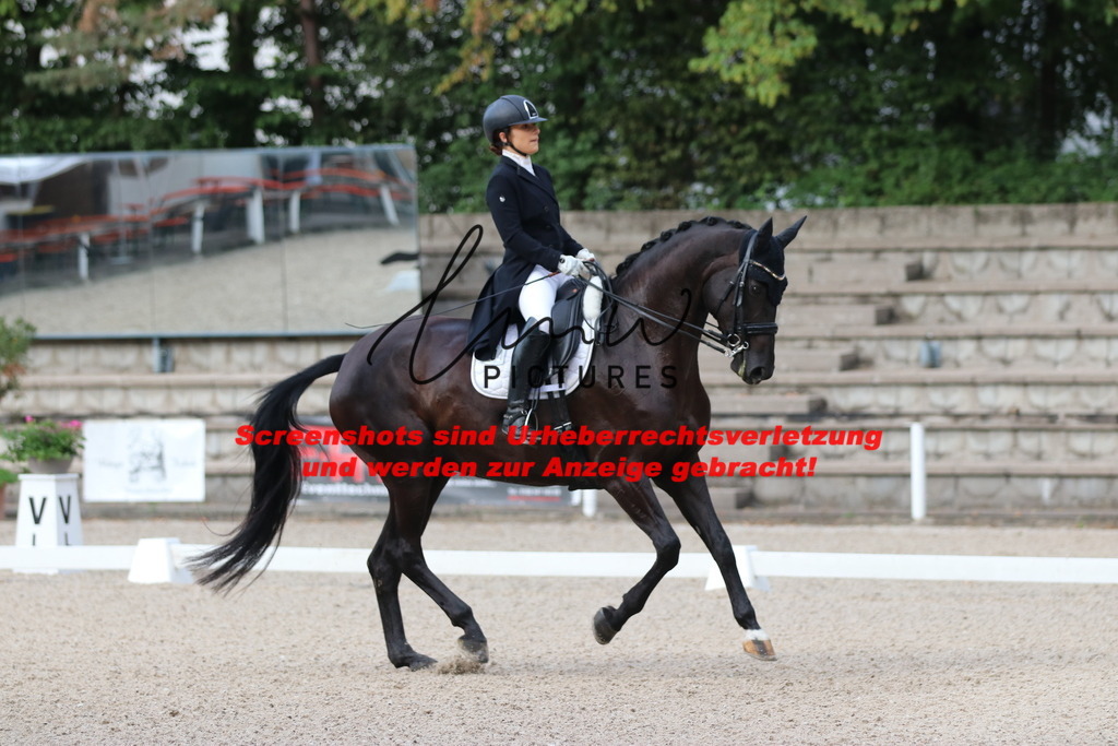 IMG_5885 | lmwpictures - Realisiert mit Pictrs.com