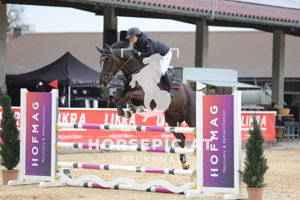 0P6A4717 | Willkommen bei Brunnmayr - Design & Fotografie – Ihrem Spezialisten für Reitturniere und Pferdeveranstaltungen in Oberösterreich, Salzburg und Bayern! Seit über 17 Jahren sind wir leidenschaftlich dabei.