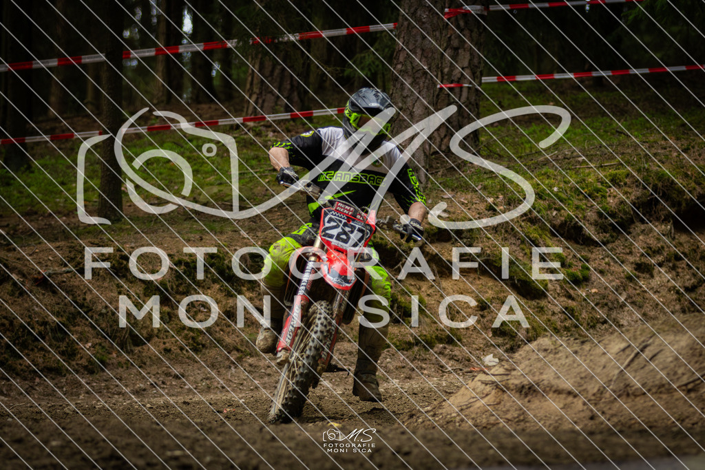 20260418-162A2725 | moni.sica.fotografie - Realisiert mit Pictrs.com
