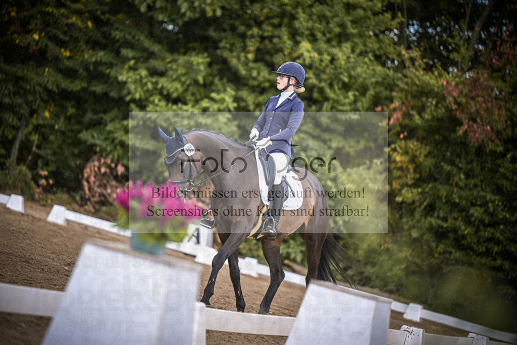 DOS_4629 | Entdecke hochwertige Reitturnierfotos von Foto Oger. Professionell, emotional und authentisch – jetzt Lieblingsmomente im Shop bestellen.Deutschlandweite Turnierfotografie. - Realisiert mit Pictrs.com