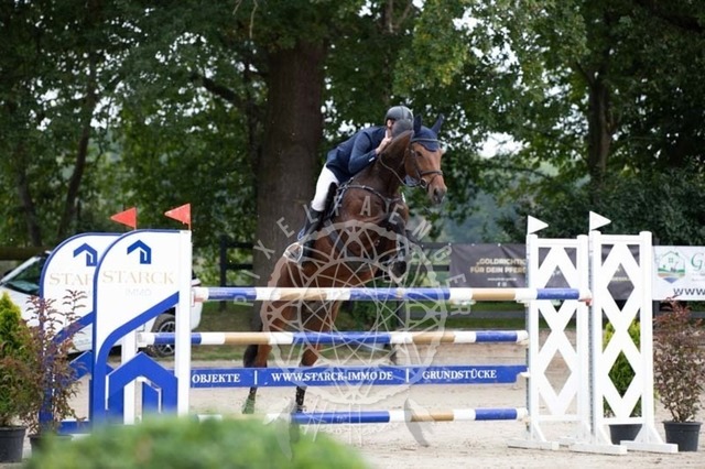 2B4A2405 | pixelfaenger - Realisiert mit Pictrs.com