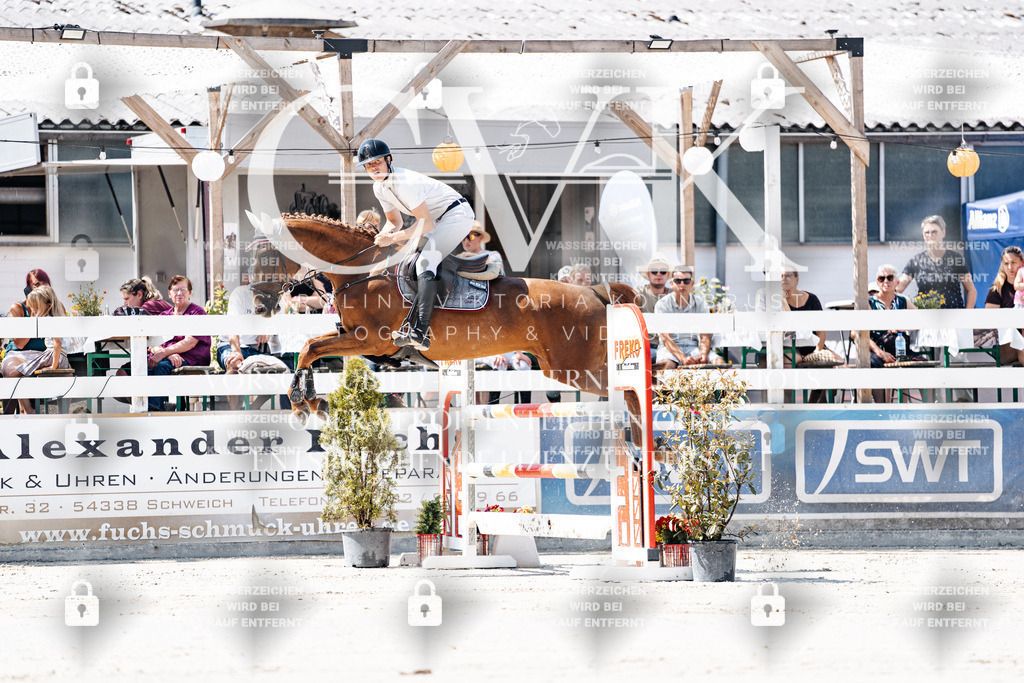 CK909403 | Turnierfotografie Pferdefotografie Trier Rheinland-Pfalz Pferdesport Reitsport Tierfotografie Sportfotografie Pferdevideo Pferdevideografie Equestrianvideography equestrianphotography  - Realisiert mit Pictrs.com