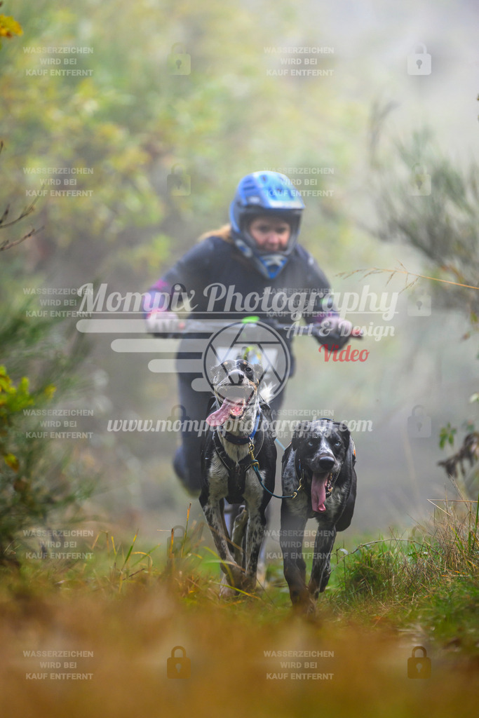 MompixPhotography_20TSB_E4_DS2-15 | PayLife